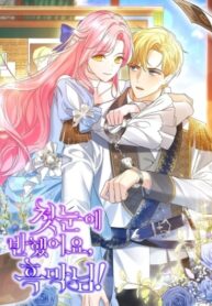 Cover 78995
