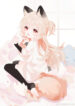 Cover 79095