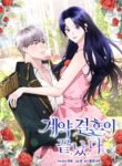 Cover 79169