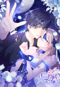 Cover 79264