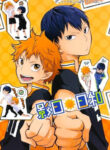 Cover 79538