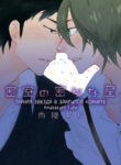 Cover 79999