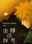 Cover 80175