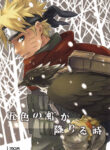Cover 80227