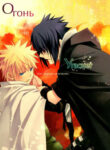 Cover 80279