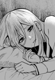Cover 80336