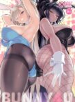 Cover 80392