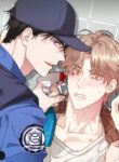 Cover 80441