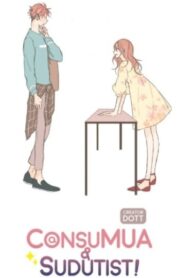 Cover 80504