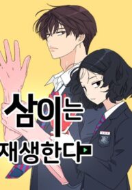 Cover 80771