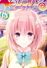 Cover 80785
