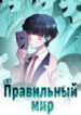 Cover 80882