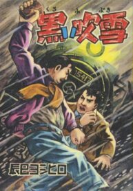 Cover 80960