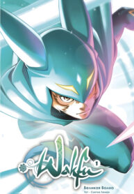 Cover 81013