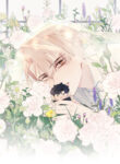 Cover 81117