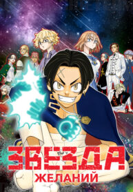 Cover 81315