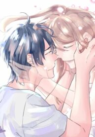 Cover 81591