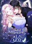 Cover 81697