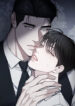 Cover 82050