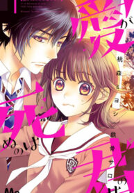 Cover 82097