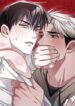Cover 82381