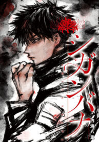 Cover 82571