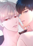 Cover 82675