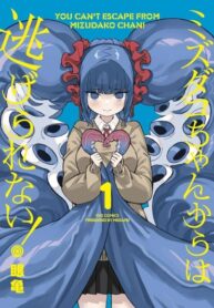 Cover 84086