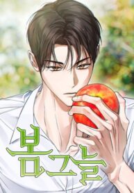 Cover 84148