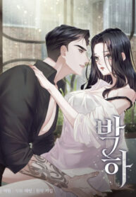 Cover 84276