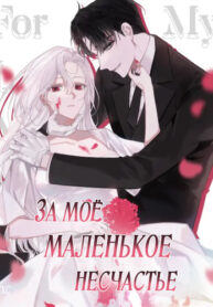 Cover 84368