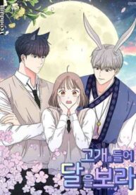 Cover 84584