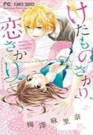 Cover 84862