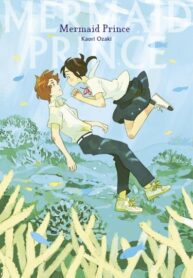 Cover 84878