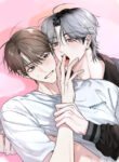 Cover 85044