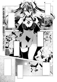 Cover 85213