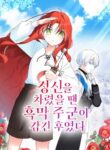 Cover 85250