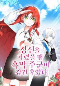 Cover 85250