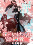 Cover 85268