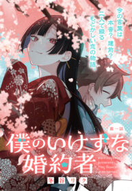 Cover 85268