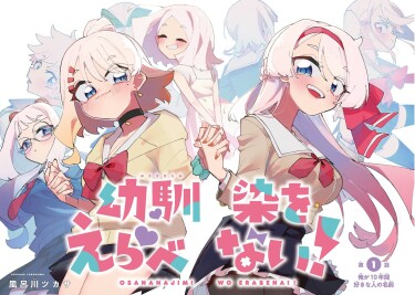 Cover 85470