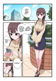 Cover 85520