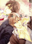 Cover 85566