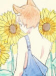 Cover 85623