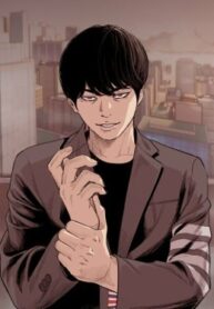 Cover 85695