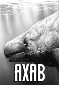 Cover 85707