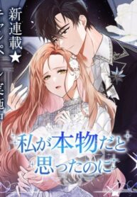 Cover 86533
