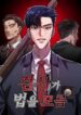 Cover 86545