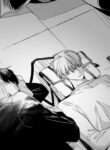 Cover 86902