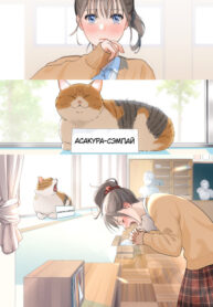 Cover 87207